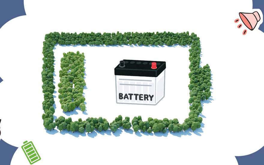 How to Store and Care for LiFePO4 Batteries