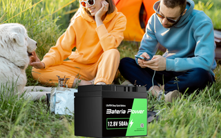 LiFePO4 Battery –